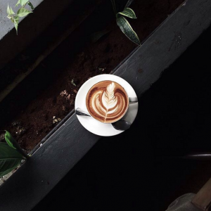 COFFEE photo