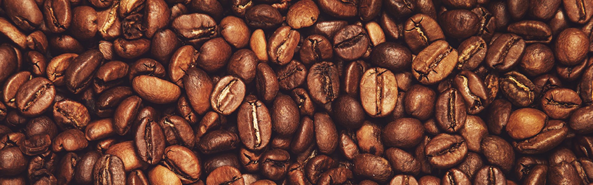 Contract Coffee Roasting